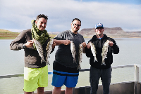 Lake Powell May 2019 Fishing Report