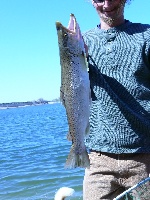 Nice Browns Fishing Report